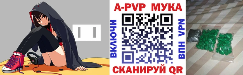 A PVP СК Котлас
