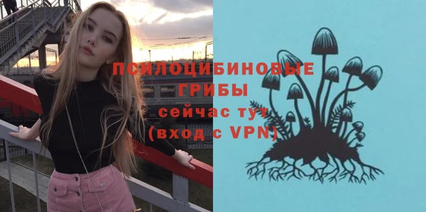 соль курить ск Богородицк