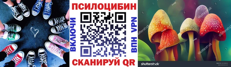 Галлюциногенные грибы мицелий  Котлас 