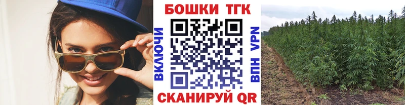 Бошки марихуана THC 21%  наркошоп  Котлас 